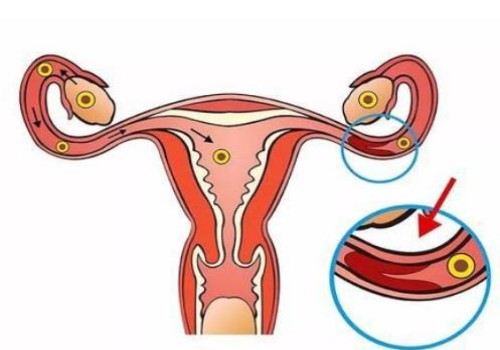 解答性激素六项指标的含义，每项都和女性生育能力有关